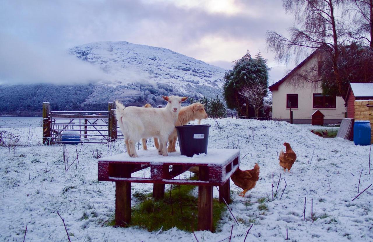 Highland Croft B&B Onich Exterior photo